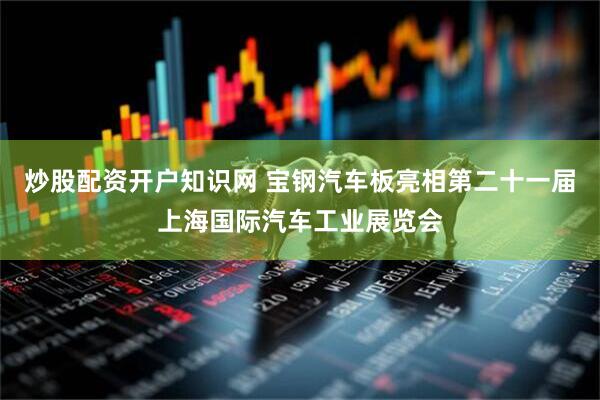 炒股配资开户知识网 宝钢汽车板亮相第二十一届上海国际汽车工业展览会